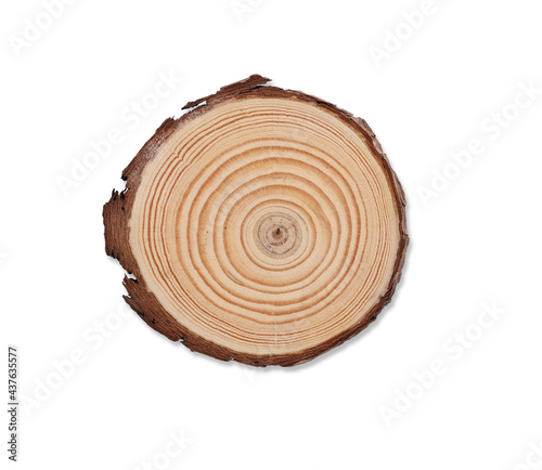 Top view closed up wooden coaster with tree texture isolated and white background with clipping path