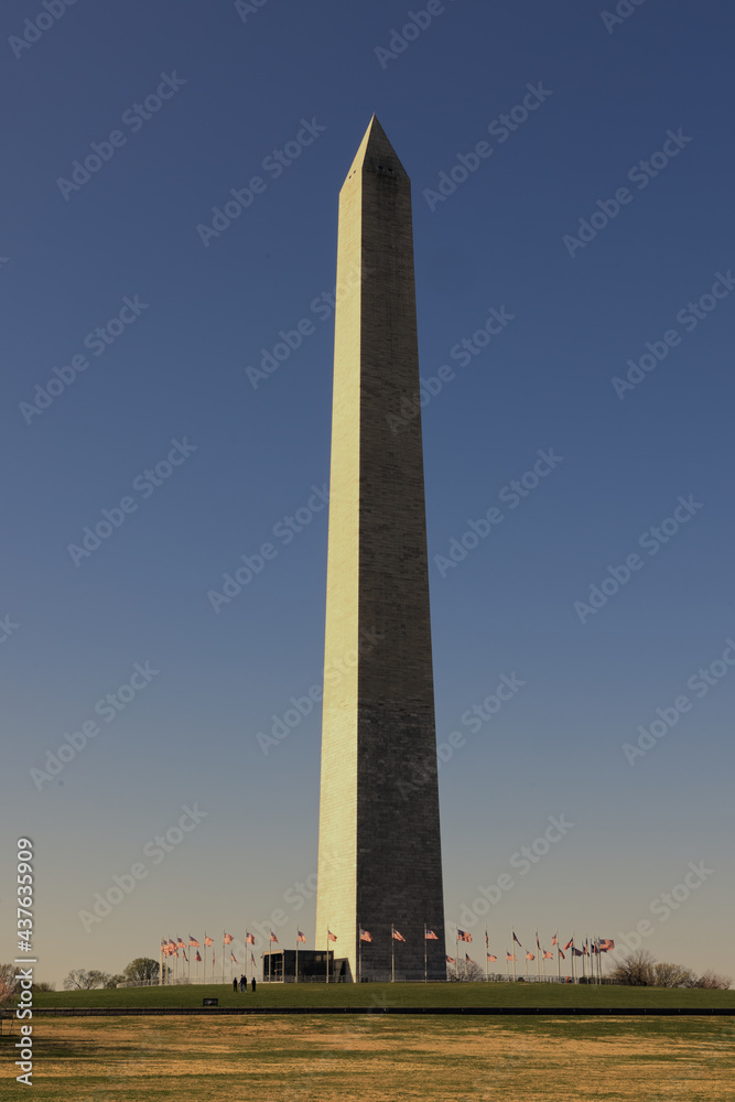 Washington Monument - Cherry Blossoms