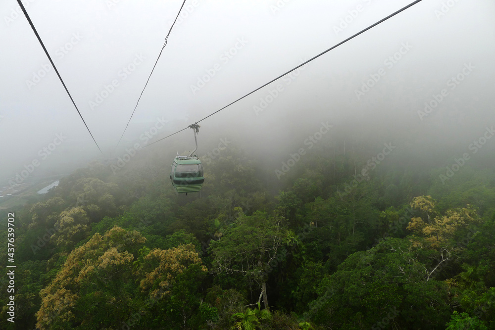 view of the skyrail rainforest cableway