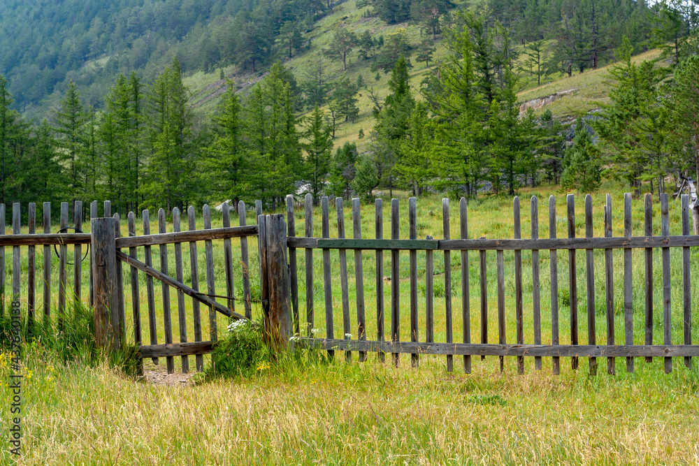 Old Russian wooden fence with rickety gate made of sparse boards. Green grass around and tree in the background. Horizontal image.