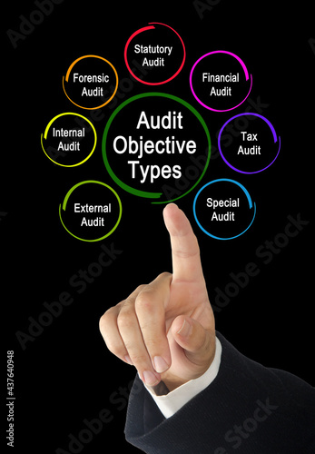 Seven Types of Audit Objective