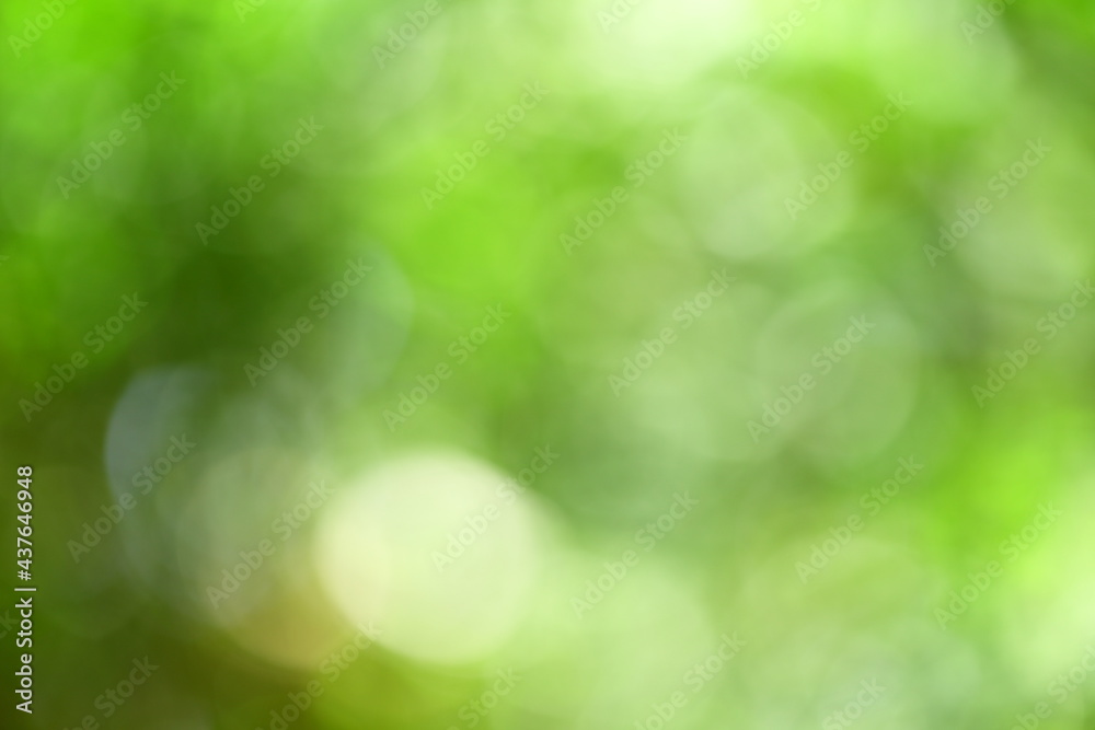 Out of focus abstract nature image.