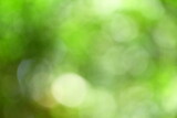 Out of focus abstract nature image.