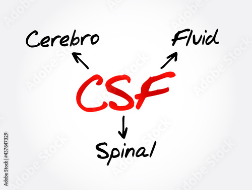 CSF - cerebrospinal fluid acronym, concept background