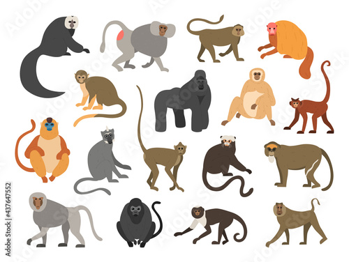 Cartoon primates. Chimpanzee and gorilla monkeys. Wild animals set with tails. Cute apes sit or climb on trees. Tropical gibbon and orangutan. Funny capuchin or macaque. Vector fauna