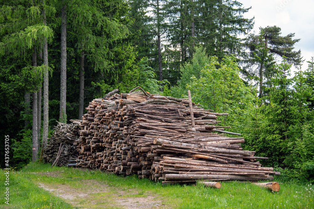 Holz aufgestaüelt neben einem Wanderweg im Wald (Österreich)