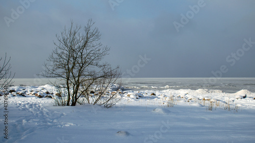 beautiful winter landscape with footprints in the snow, white snow covered dunes, seashore, winter © ANDA