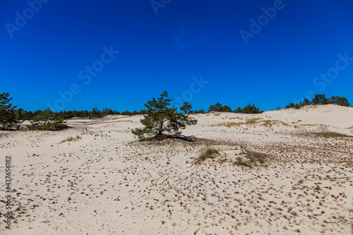 Dunes in the Slowinski National Park. Landscape with beautiful sky, clouds and dunes in the sun in Leba. © R_Szatkowski