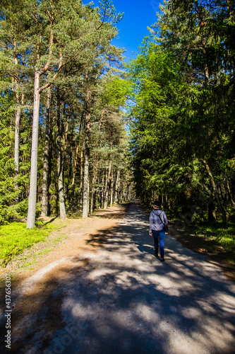 Obraz na płótnie Young women in forest. w salonie