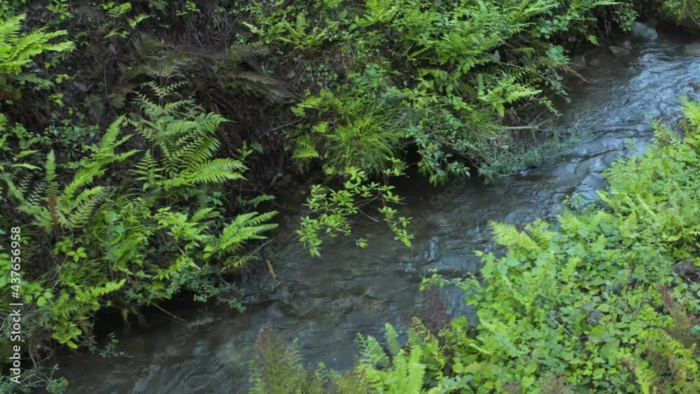 Stream of pure mountain water flowing from Mt Daisen, Tottori Japan Stream of pure mountain water flowing from Mt Daisen, Tottori Japan