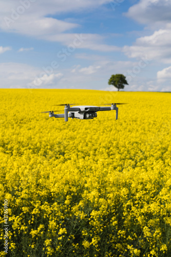 Drone flying over a yellow flowering canola field. In the background is a bright blue sky and a green tree.