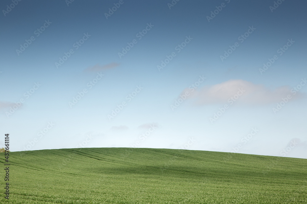 Green agriculture fields in blue sky with clouds Green agriculture fields in blue sky with clouds