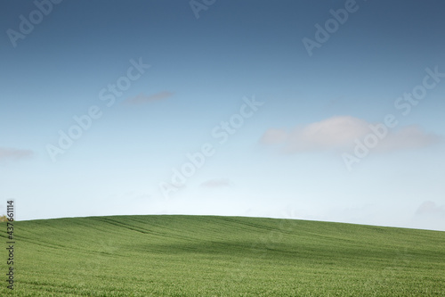 Green agriculture fields in blue sky with clouds