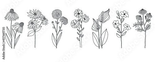 Hand drawn flower group collection on white background. Vector illustration in doodle art style