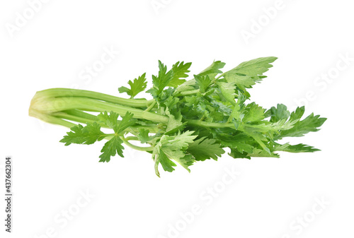 Fresh celery isolated on white background