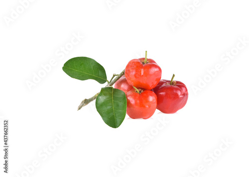  Acerola Cherry with leaves isolated on white background