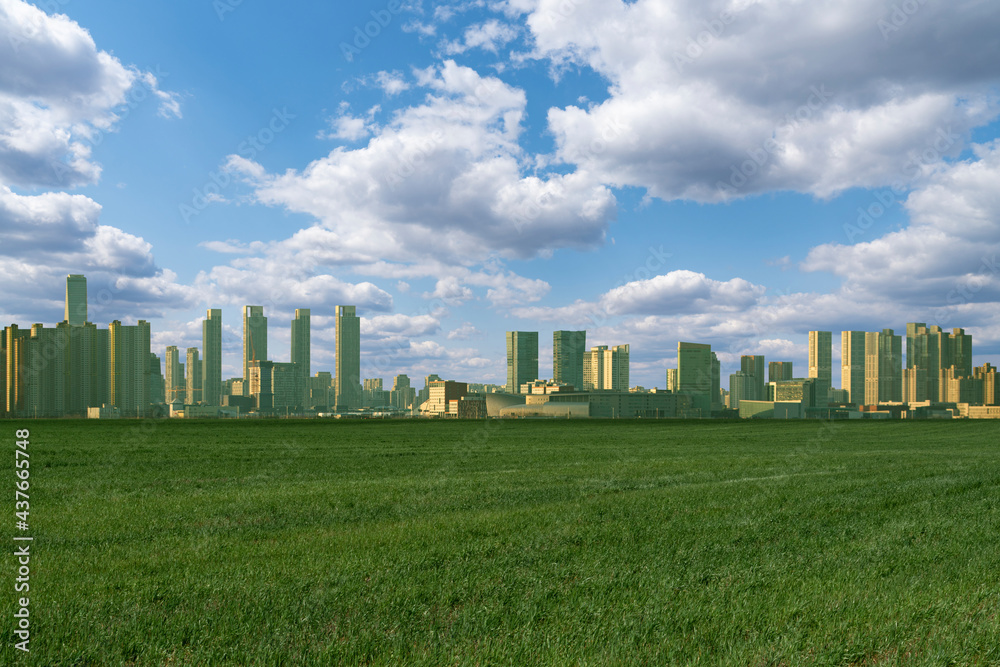 Green field. Skyscrapers on the horizon. Eco city concept
