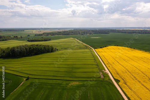 aerial view to countryside with road, green and yellow agricultural fields, forests