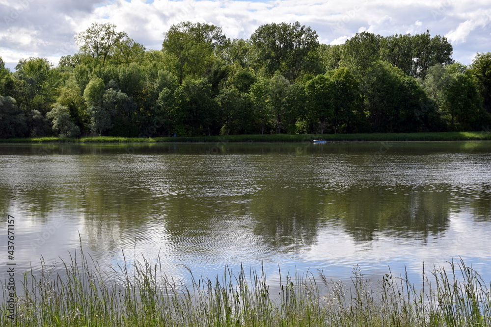 Rheinauen im Naturschutzgebiet Taubergießen Rheinauen im Naturschutzgebiet Taubergießen