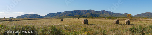 Картината върху платно Panorama view of harvested haystacks against a backdrop of blue sky and autumn hills