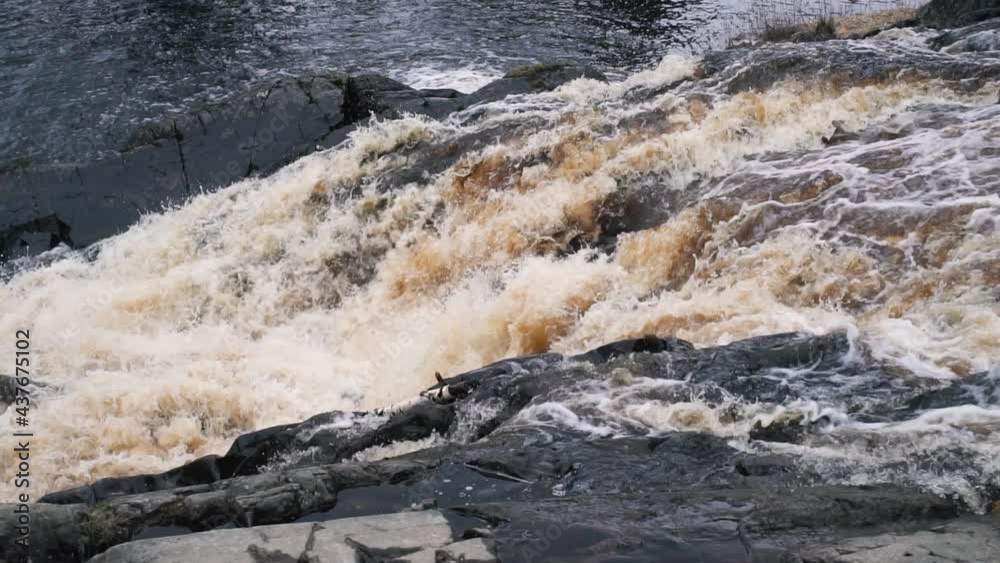 Strong and wild stream flow of water in wilderness. Fast mountain river slow motion. Russian Karelia nature Strong and wild stream flow of water in wilderness. Fast mountain river slow motion. Russian Karelia nature
