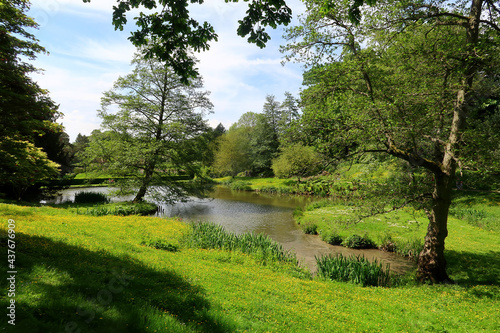 Fototapeta Naklejka Na Ścianę i Meble -  A woodland landscape scene in the Kent countryside