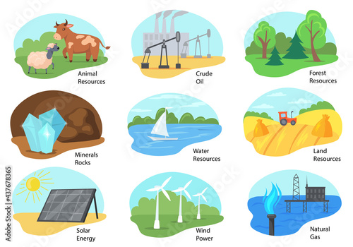 Different types of natural resources vector illustrations set. Animal, forest, land, and water resources, crude oil, natural gas, solar energy isolated on white background. Pollution, ecology concept