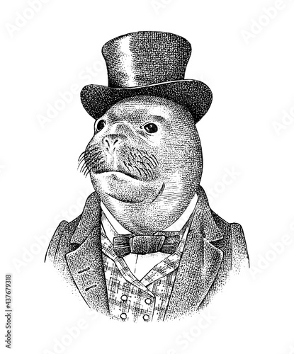 Seal man in hat and suit. Marine mammal. Victorian gentleman or aristocrat. Fashion animal character. Hand drawn sketch. Engraved illustration for and T-shirts or tattoo