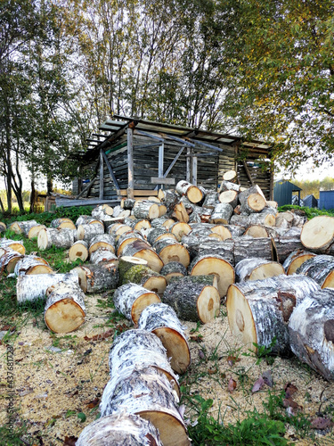 Birch firewood, saw cut, round timber on the background of an old wooden barn and trees on a sunny summer day. Mobile photography. Illustration for the summer harvesting of firewood.