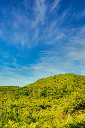 landscape of the good trip mountain range