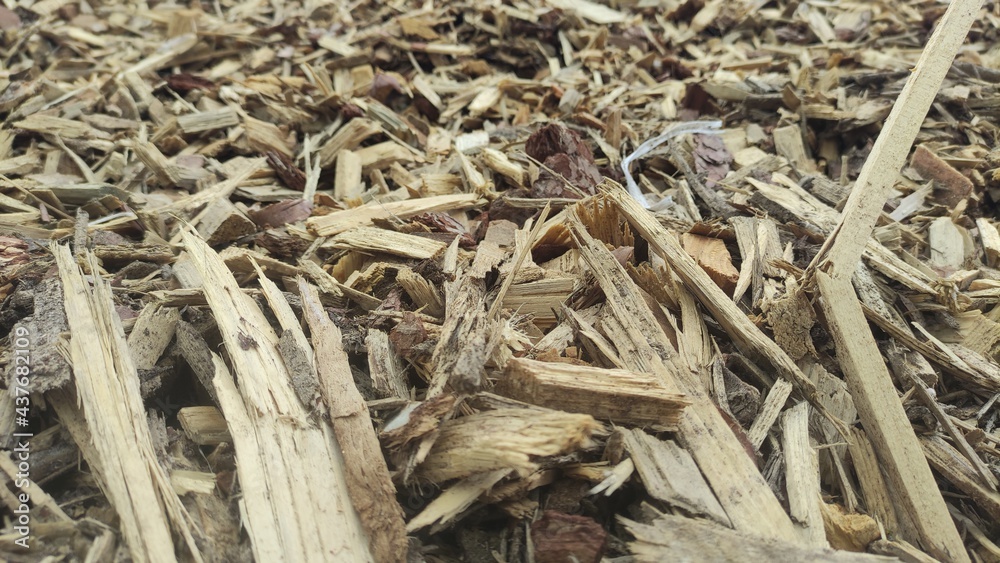 Biofuel chips. A pile of wood chips for heating industrial boilers close-up. Background and texture Biofuel chips. A pile of wood chips for heating industrial boilers close-up. Background and texture