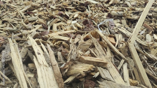 Biofuel chips. A pile of wood chips for heating industrial boilers close-up. Background and texture