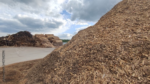 Biofuel chips. A pile of wood chips for heating industrial boilers close-up. Background and texture