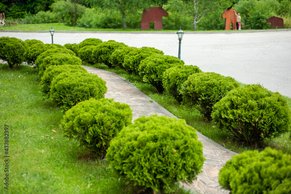Landscape design. Road, forest Landscape design. Road, forest