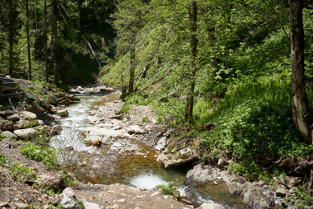 Waterfall in forest and mountain Waterfall in forest and mountain