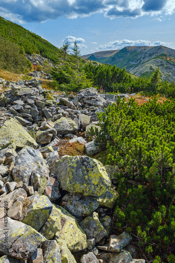 Summer Carpathian mountains view. Stony Gorgany massif, Ukraine. Summer Carpathian mountains view. Stony Gorgany massif, Ukraine.
