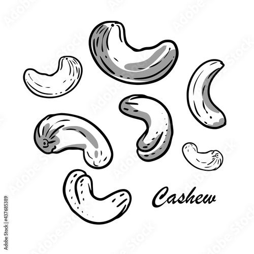 Hand-drawn cashews with shadows. Outline style, ink drawing vector illustration on isolated background.