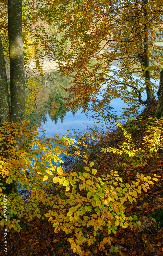 Fototapeta premium Forest meadow on shore of picturesque lake. Vilshany water reservoir on the Tereblya river, Transcarpathia, Ukraine. Beautiful autumn day in Carpathian Mountains.