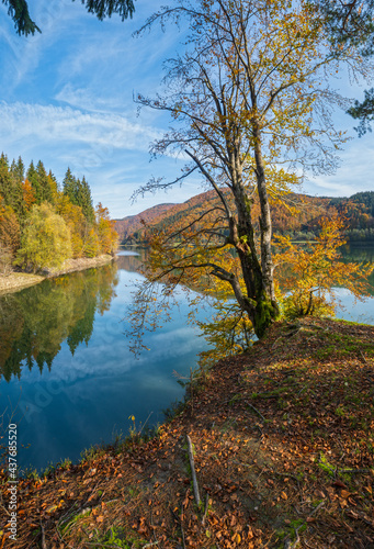 Forest meadow on shore of picturesque lake. Vilshany water reservoir on the Tereblya river, Transcarpathia, Ukraine. Beautiful autumn day in Carpathian Mountains.