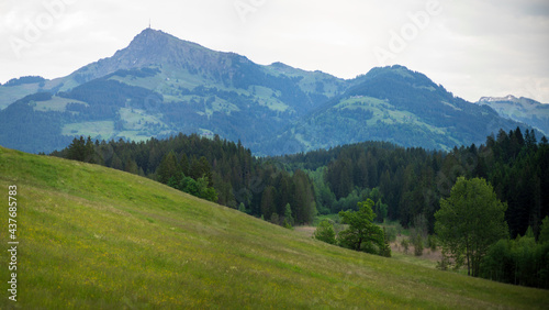 Kitzbüheler Horn mit Wiese und Wald