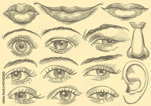 Facial features. Design set. Editable hand drawn illustration. Vector vintage engraving. Isolated on light background. 8 EPS
