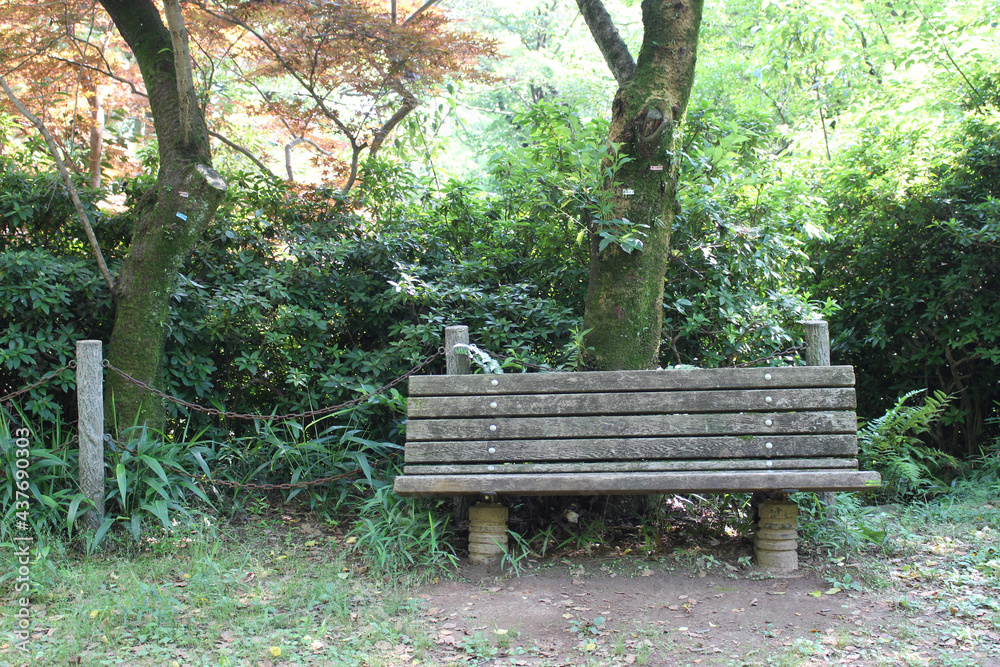 Naklejka premium 公園のベンチ