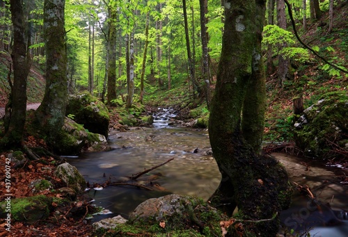 Frillenseebach © Vera