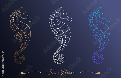 Abstract seahorse for design. Symbol, logo illustration. Silhouette icon with gradient. Vector graphics. Illustration of isolated characters on a dark background.