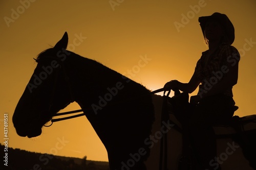 Silhouette of a cowboy on horse in front of sunset.