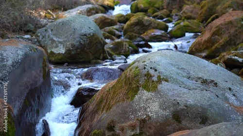 View of the river stream besides the rock in the forest at Soyal village near Manali in Himchal Pradesh, India photo