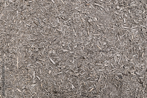 Texture of wooden chips