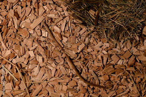 Texture of wood chips