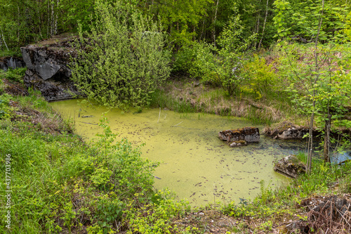 Bunker ruin and green pond in the Todtenbruch Moor in the Eifel region