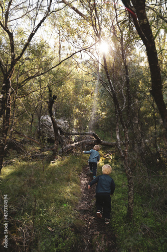Two little boys bushwalking and exploring on a nature walk adventure in the Australian bush